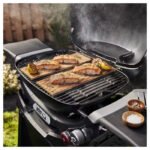 גריל גז WEBER וובר Q2800N