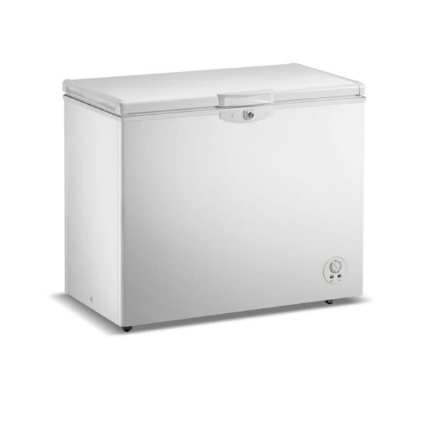מקפיא שוכב FAYNAMELI פאיינמלי RF-390PC